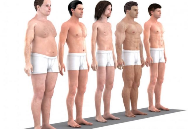What is a person&#39;s body type?