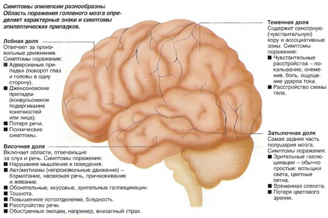 Эпилепсия может развиться спустя 10 лет после травмы головы