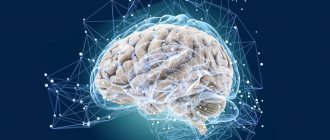 Как выглядит ЭЭГ при эпилепсии