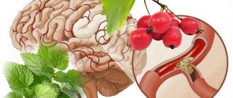 лекарственные растения для сосудов мозга