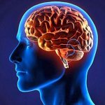 патологии мозжечка