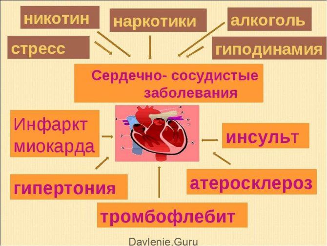 Pathologies of the cardiovascular system