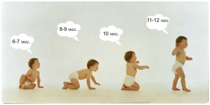 Signs of cerebral palsy in a 6 month old baby
