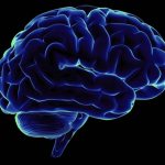 Профилактика инсульта головного мозга