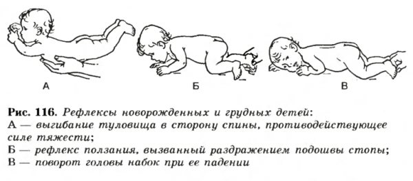 Рефлексы новорожденных