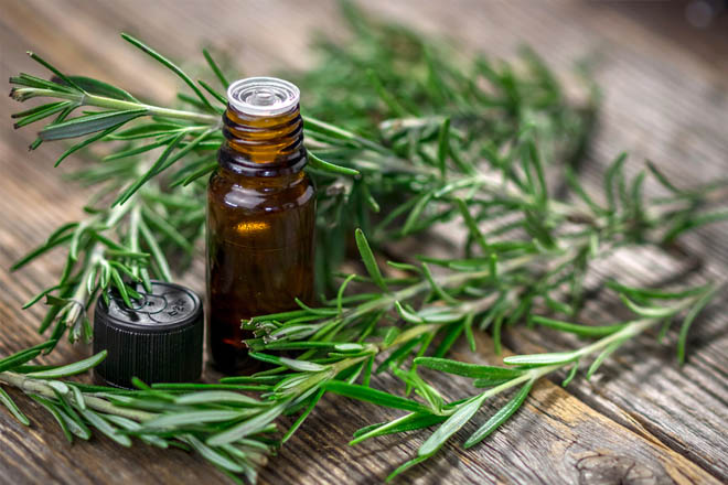 Rosemary is included in mixtures against insomnia