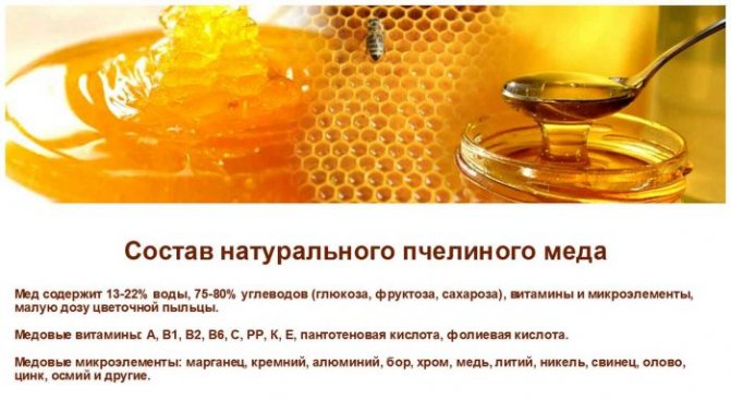 состав пчелиного меда