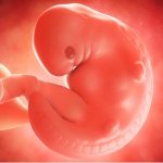 «Тридерм» при беременности: показания, инструкция по применению, аналоги, отзывы