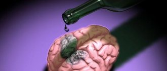влияние алкоголя на функциональность мозга