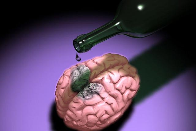 влияние алкоголя на функциональность мозга