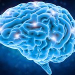 Внутренняя гидроцефалия головного мозга у взрослых и детей: виды и возможные причины, симптомы и необходимые исследования, лечение, прогноз